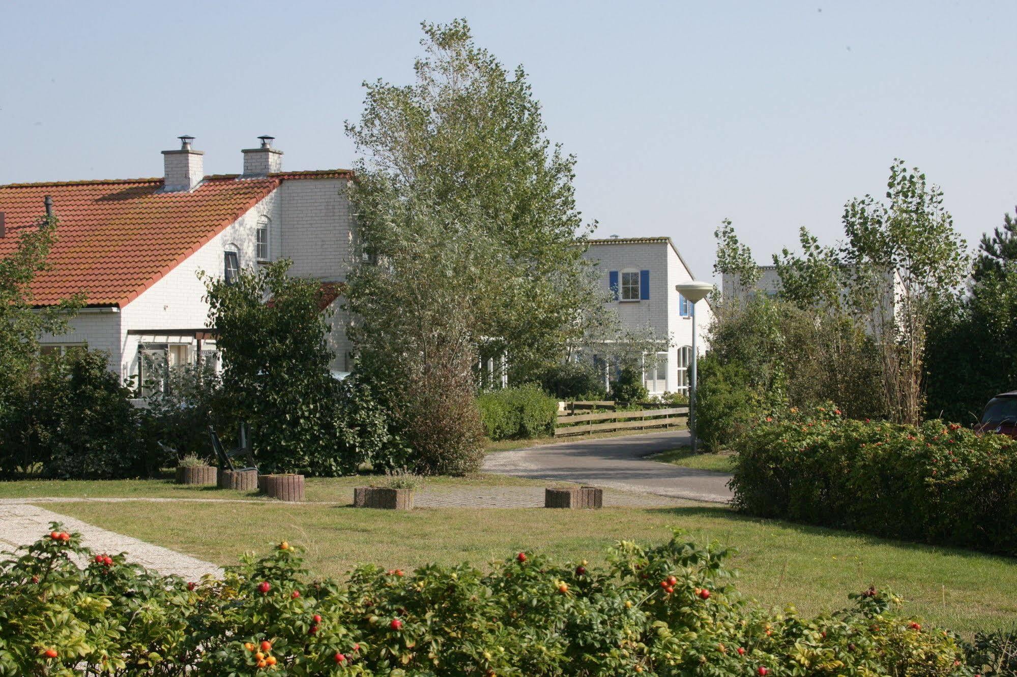 De Krim Texel De Cocksdorp (Texel)